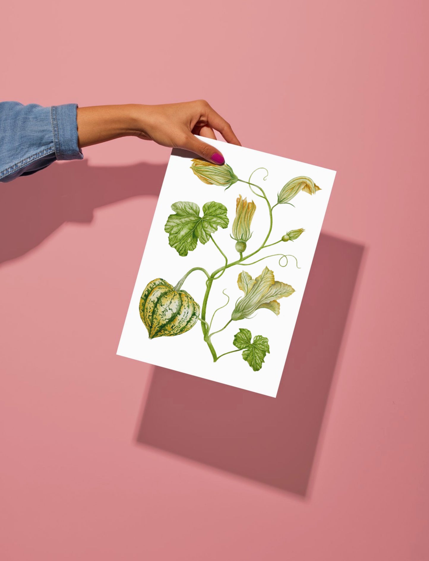 Botanical Carnival Squash Watercolour Wall Art Print
