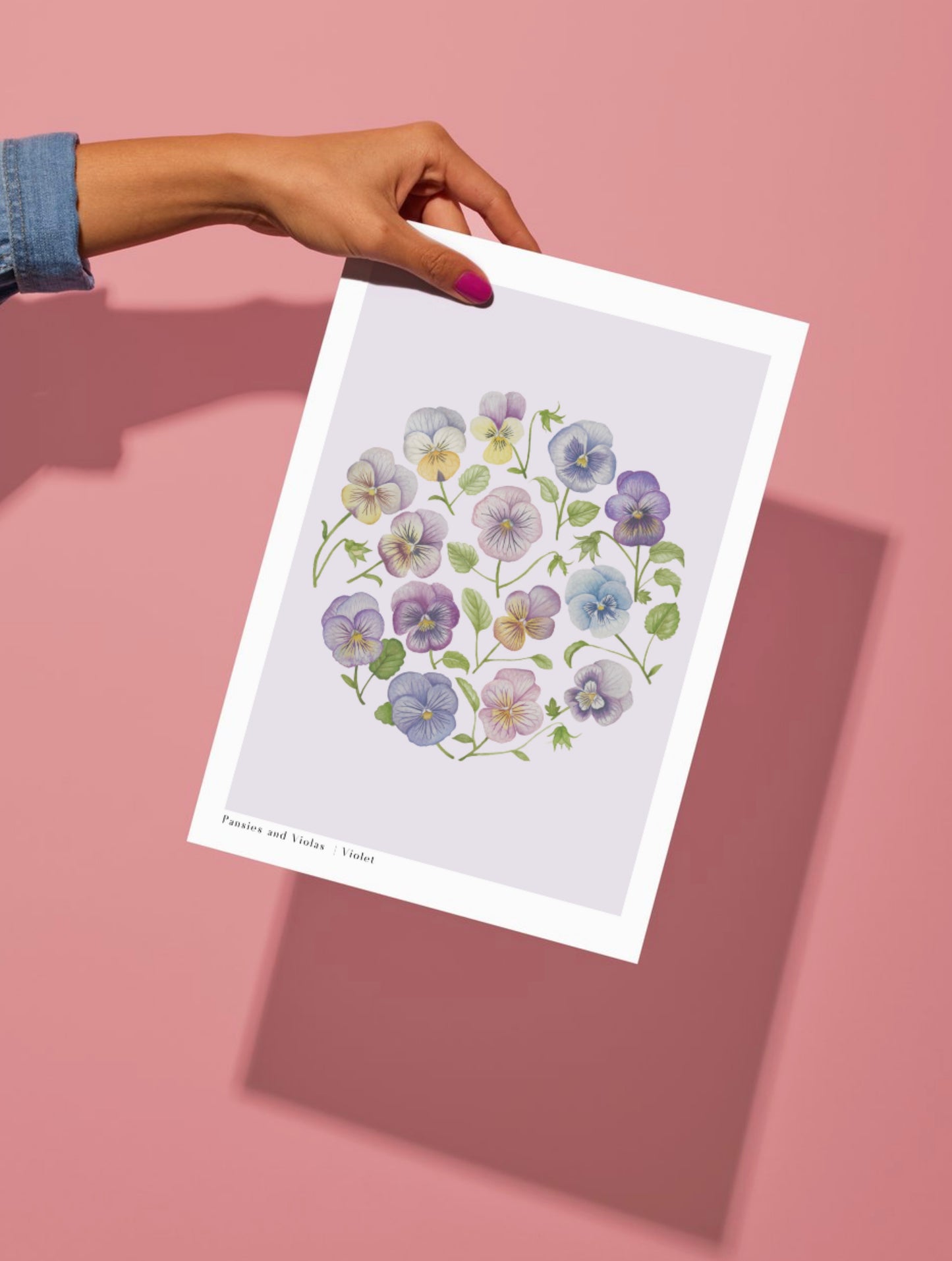 Botanical Pansies and Violas Watercolour Wall Art Print