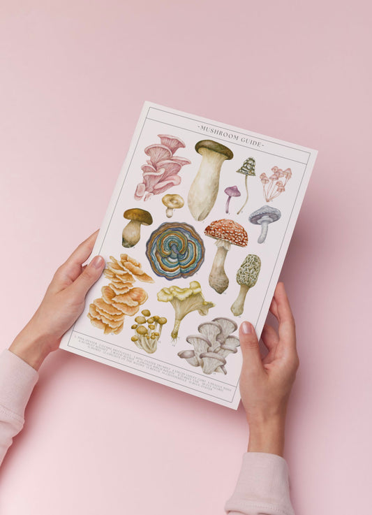 Botanical Mushroom Guide Watercolour Print