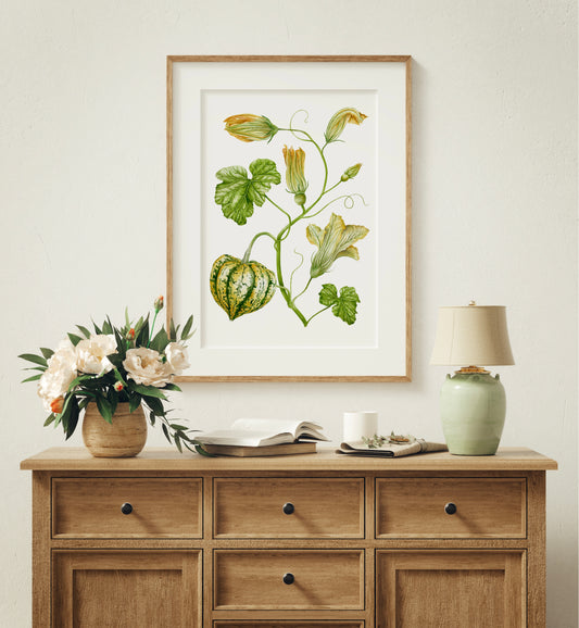 Botanical Carnival Squash Watercolour Wall Art Print