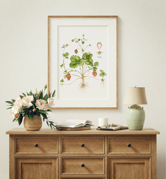 Botanical Strawberries Watercolour Wall Art Print