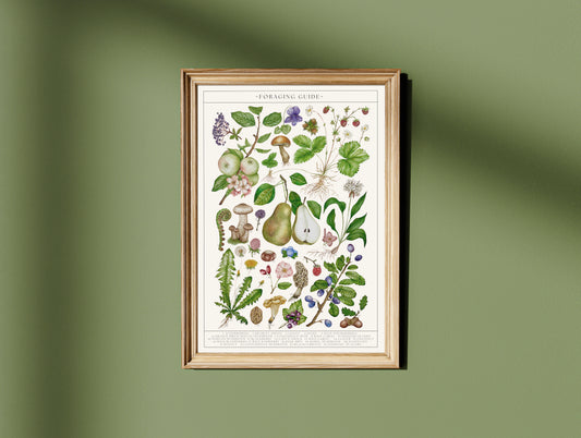 Botanical Foraging Guide Watercolour Art Print