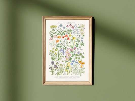 Botanical Meadow Wildflowers Watercolour Art Print
