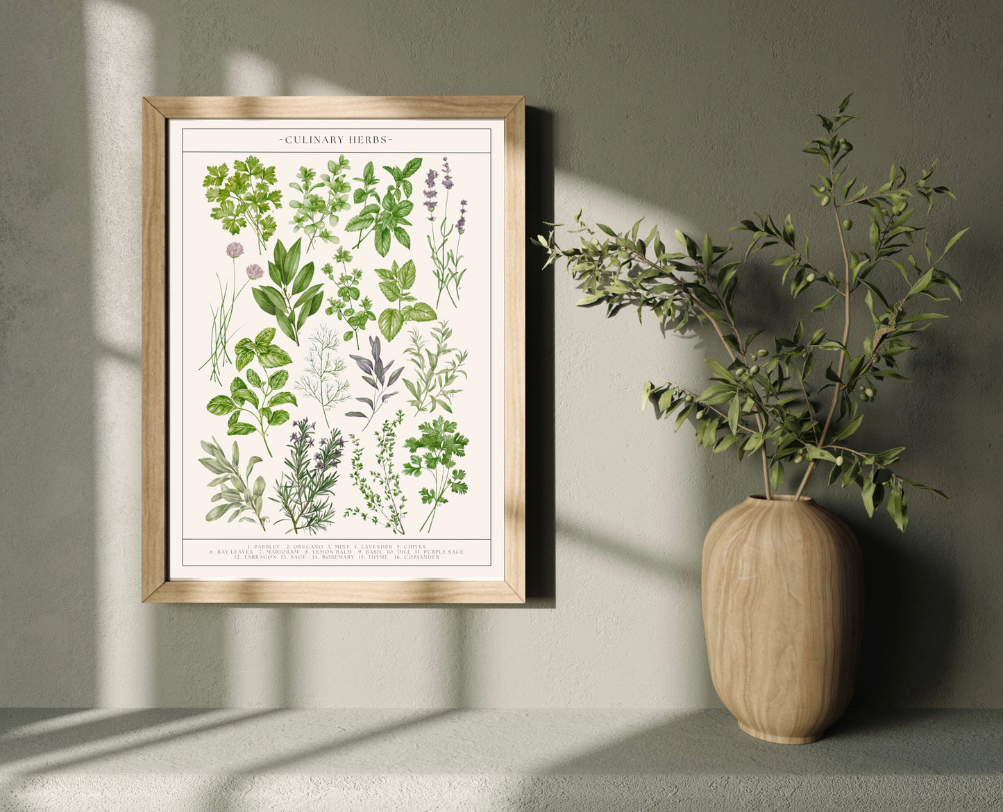 Botanical Culinary Herbs Watercolour Art Print