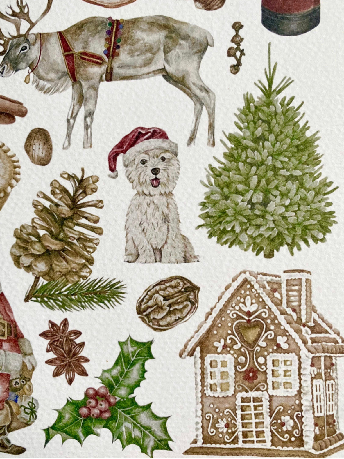 Botanical Christmas Card