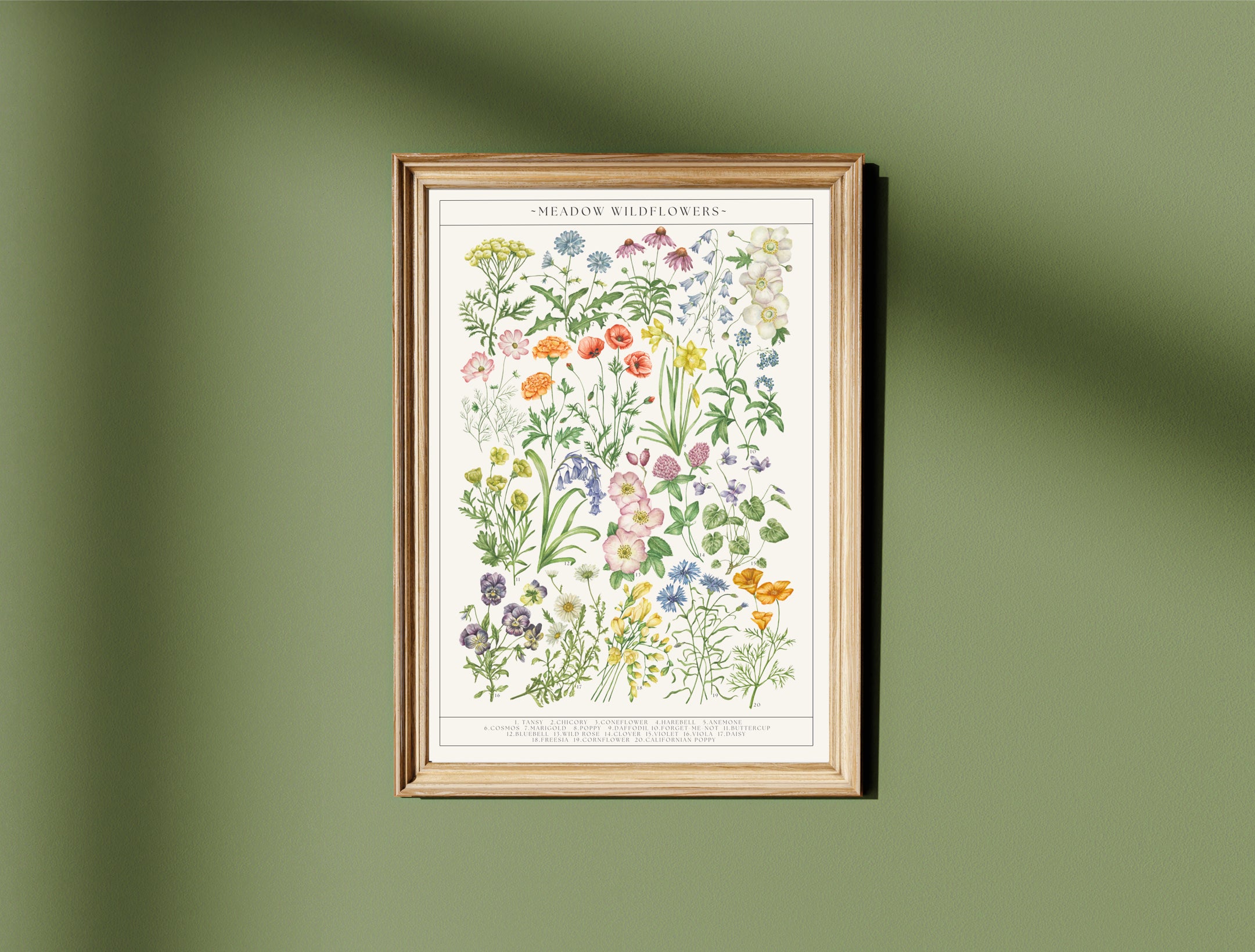 Botanical Wildflower Guide Watercolour Print – My Store