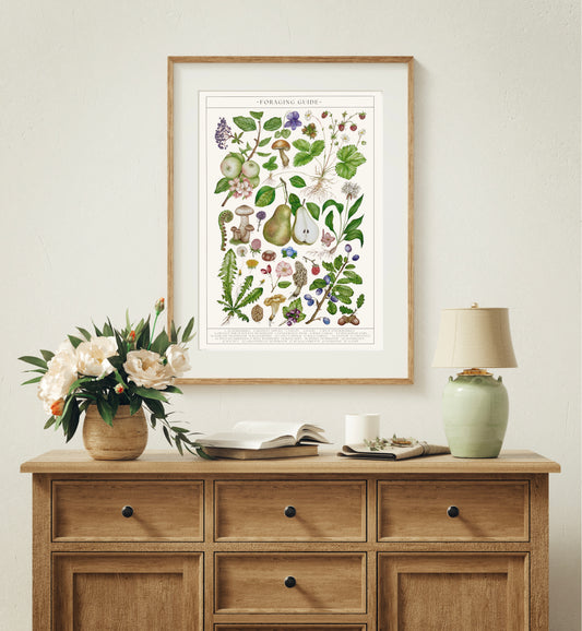 Botanical Foraging Guide Watercolour Art Print