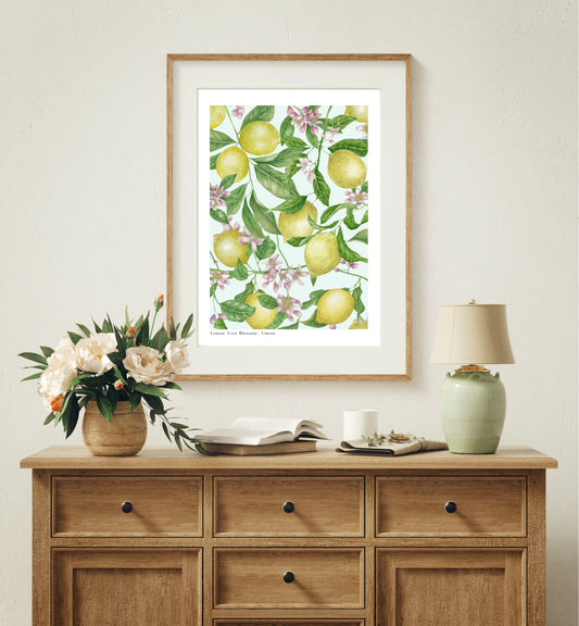 Botanical Lemon Tree Blossom Watercolour Wall Art Print
