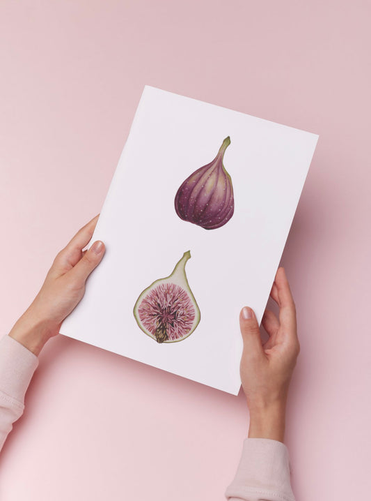 Botanical Figs Watercolour Wall Art Print