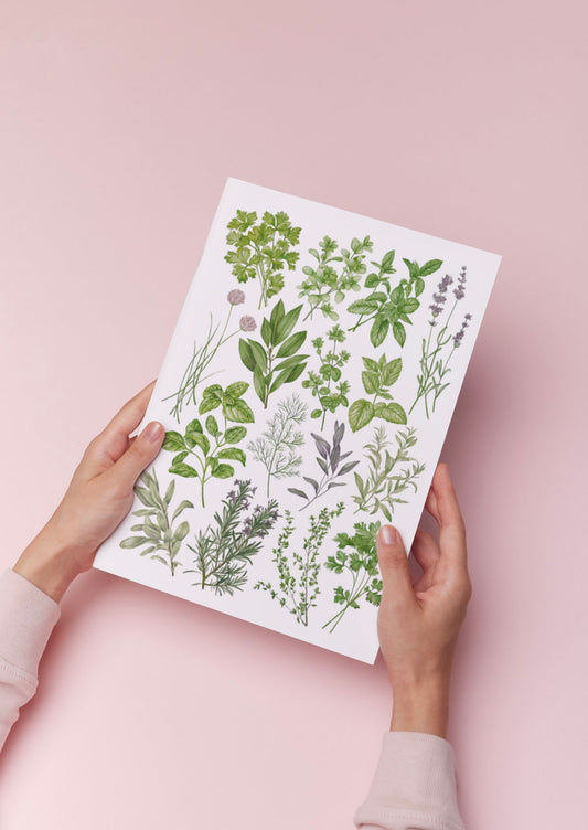 Botanical Herbs Watercolour Print